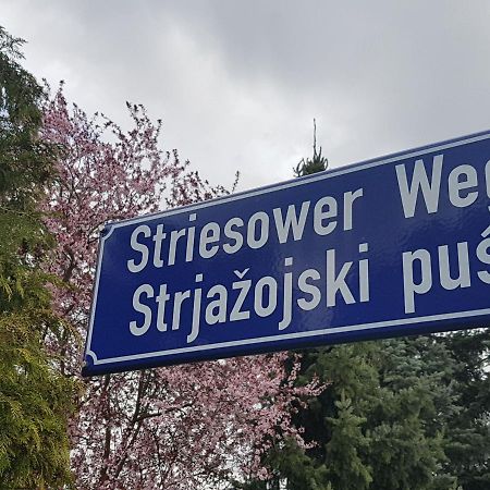 2 Raum Gartenwohnung Am Spreewaldradweg In 콧부스 외부 사진